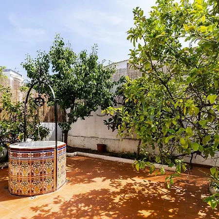 Lemon Tree Sitges