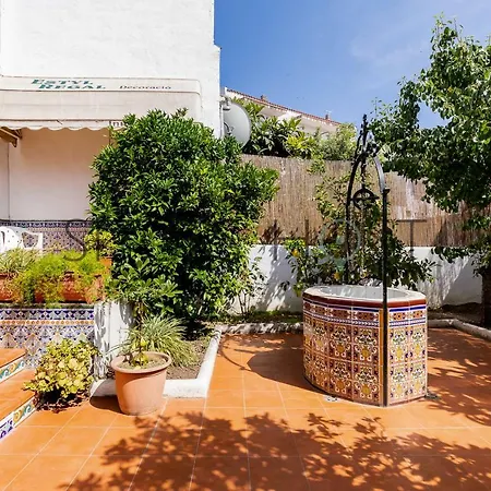 Lemon Tree * Sitges