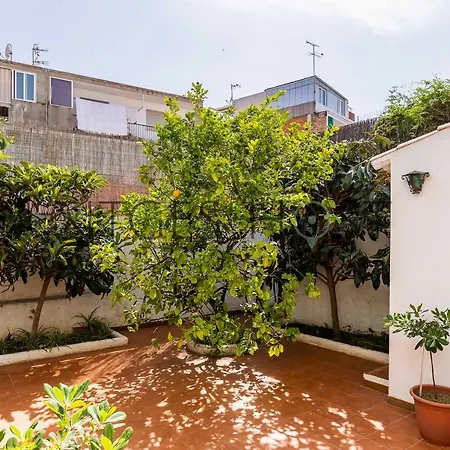 Lemon Tree Apartman